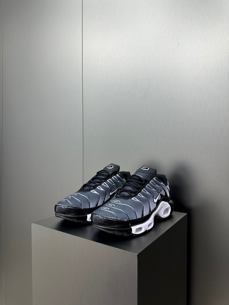 Nike Air Max Plus TN Black Silver